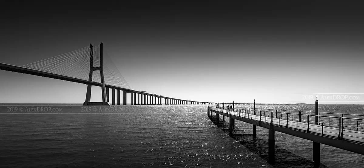 Best Lisbon City Pass: Is the Lisboa Card Worth It? (2026 Guide)
